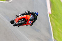 PJ-Motorsport-Photography-2020;anglesey;brands-hatch;cadwell-park;croft;donington-park;enduro-digital-images;event-digital-images;eventdigitalimages;mallory;no-limits;oulton-park;peter-wileman-photography;racing-digital-images;silverstone;snetterton;trackday-digital-images;trackday-photos;vmcc-banbury-run;welsh-2-day-enduro